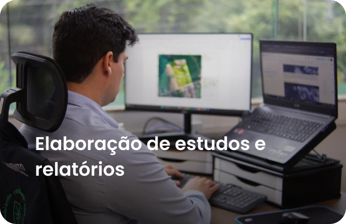 Elaboração de estudos